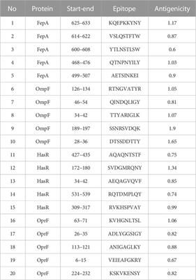 Integration of immunoinformatics and cheminformatics to design and evaluate a multitope vaccine against Klebsiella pneumoniae and Pseudomonas aeruginosa coinfection